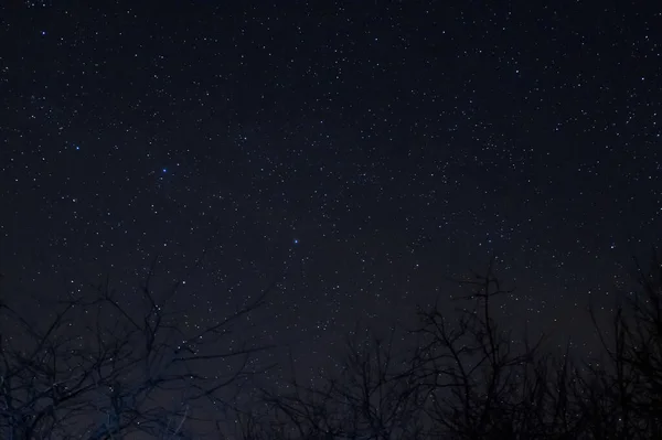 Long Exposure Night Photo Lot Stars Trees Foreground Far City — Stock Photo, Image