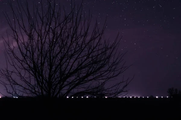 Долгая Ночная Экспозиция Много Звезд Деревьями Переднем Плане Вдали Города — стоковое фото