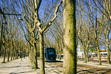 Bir Bordeaux park ağaçların arasında bir tramvay