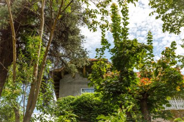 Bitki örtüsü ile çevrili güzel ev