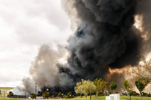 Grand feu près d'un parc — Photo