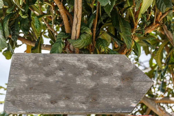 Letrero de madera apuntando a la derecha, con un árbol detrás — Foto de Stock