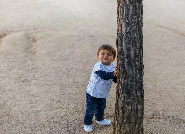 Un niño pequeño agarra un árbol para evitar que se caiga —  Fotos de Stock