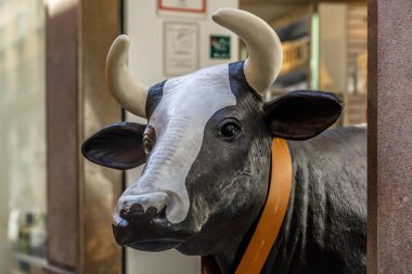 Dükkanı pencereden bakmak sahte inek