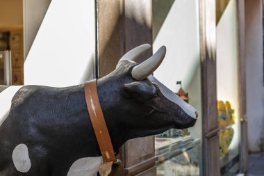 Bir vitrin sahte inek 