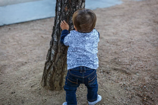 Dítě v parku tlačí strom — Stock fotografie