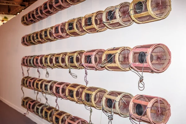 Bir dizi küçük kafesler çok özel bir Tasarım görünümü