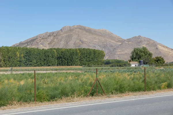 Δείτε ένα μεγάλο βουνό και ένα δρόμο στη μέση ενός πράσινου lan — Φωτογραφία Αρχείου