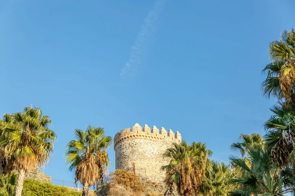 熱帯ヤシの木に囲まれた城の中世の塔 — ストック写真