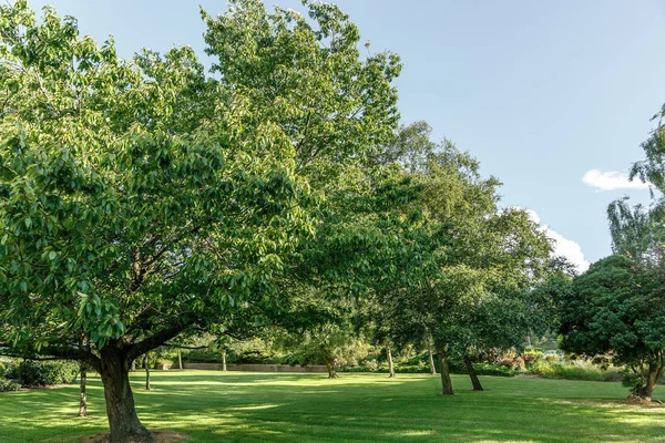 Parque arborizado típico em uma cidade da Inglaterra, Reino Unido — Fotografia de Stock
