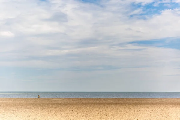 Blick in den Himmel über einem ruhigen und entspannten Strand — Stockfoto