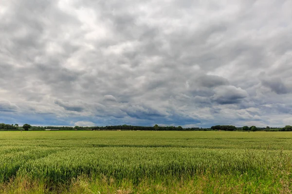 Bir bulutlu gün ortasında yeşil doğa