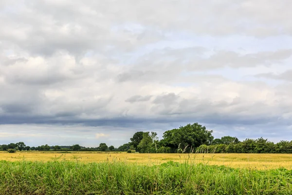 Saf ve yeşil doğa üzerinde bulutlu bir Doğu İngiltere'de kırsal kesimde