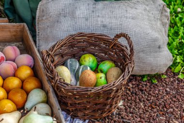 Sepet meyve ve sebze ile bir çiftlik yere yerleştirilir