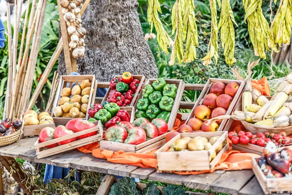 Biber, domates, elma ve daha çok sebze, görüntülenen kümesi
