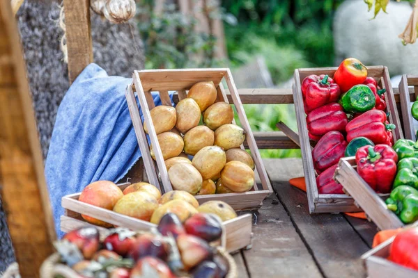 Sepet içinde yerleştirilen bazı sebzelerin görünüm