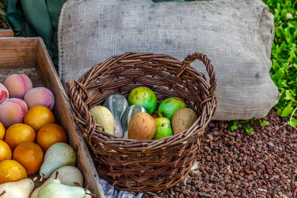 Sepet meyve ve sebze ile bir çiftlik yere yerleştirilir