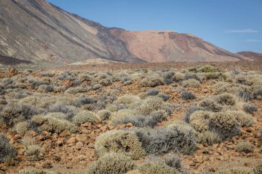 Volkanik alan bazı bitki örtüsü ile görünümünü