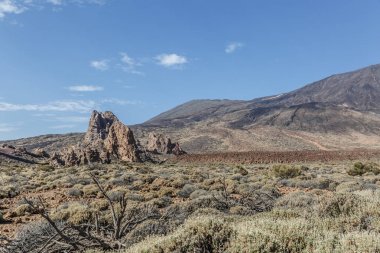 Güneşli da da bazı bitki örtüsü ile bir çok kurak manzara görünümünü