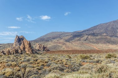 Teide volcan alanında tipik bir kurak manzara görünümünü