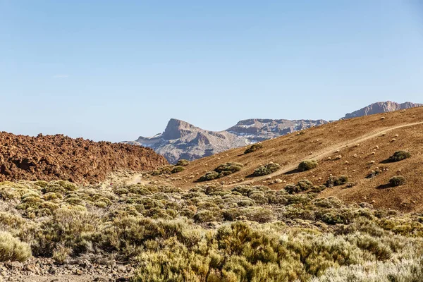 Characteristic landscape of the Teide natural park in Tenerife, — Stock Photo, Image