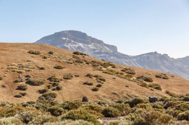 Hillside çok kayalık ve kurak peyzaj
