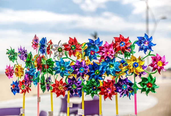 ビーチに多く な色の美しい造花のグループ — ストック写真