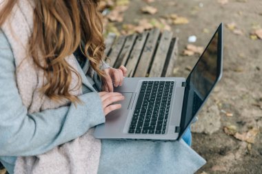 Sarışın kadın bilgisayarına bir şey yazmış. Ben 'in parkında oturuyor.