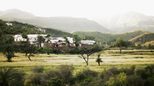 Green Valley Met Heuvels Bergen Achtergrond — Stockvideo