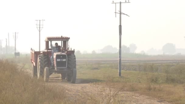 Σιαλκοτ Πακισταν Ιουλιου Χωρικοί Αγρότες Εργαστούν Στα Αγροκτήματά Τους Πρωί — Αρχείο Βίντεο