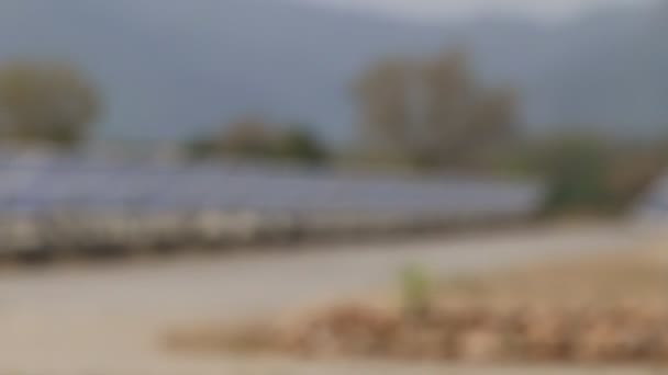 Solar Power Park Καθαρή Παραγωγή Ηλεκτρικής Ενέργειας — Αρχείο Βίντεο