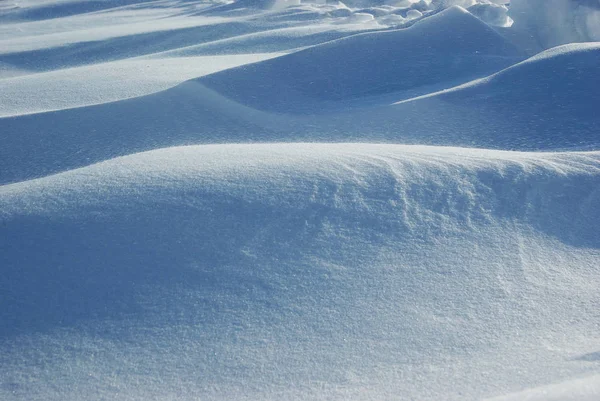 Winterscape. Snow field