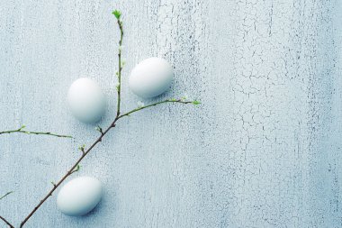 Paskalya selamlar için şablon