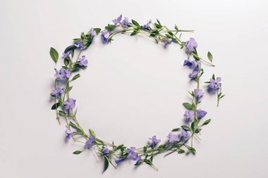 Açık renkli çiçekler