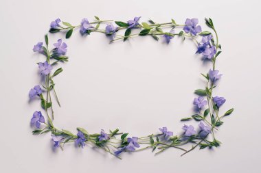 Açık renkli çiçekler