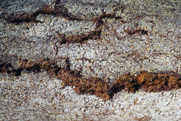Close-up van een korst brood — Stockfoto