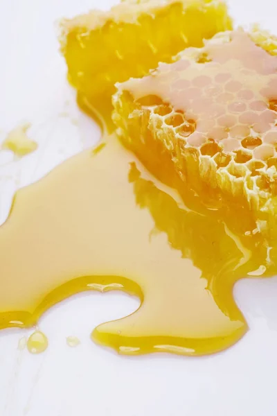 Honungskakor på vit bakgrund — Stockfoto