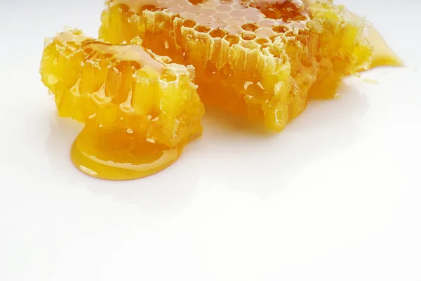Honungskakor på vit bakgrund — Stockfoto