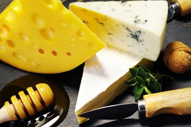 Peynir ve bal karanlık bir arka plan üzerinde. Yakın çekim.