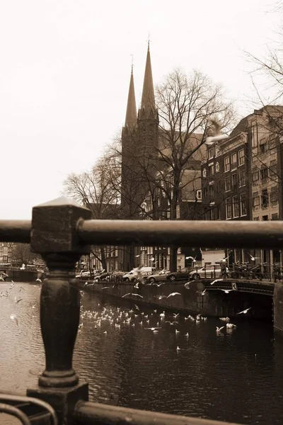 ヨーロッパの旧都市、アムステルダム、ロッテルダム、ハーグ、クリスマス前 — ストック写真