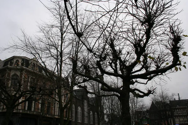 Ciudades europeas mayores, Amsterdam, Rotterdam, La Haya, antes de Navidad — Foto de Stock