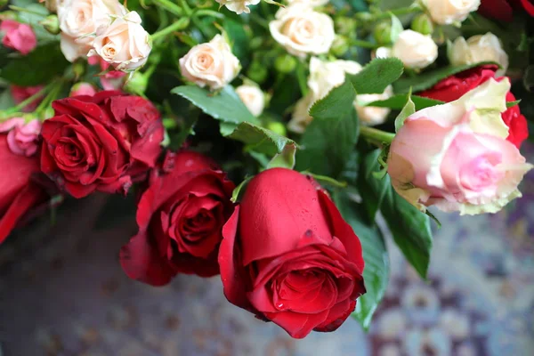 Rosas, rosas blancas y púrpuras, fondo blanco pared, una sola rosa , Fotos de stock