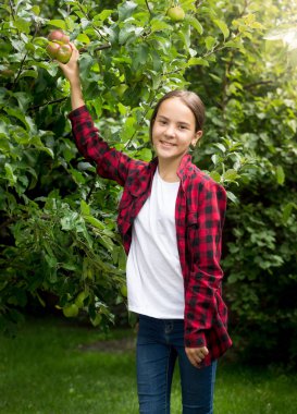 Gard elma toplama kırmızı kareli gömlek gülümseyen kız mutlu