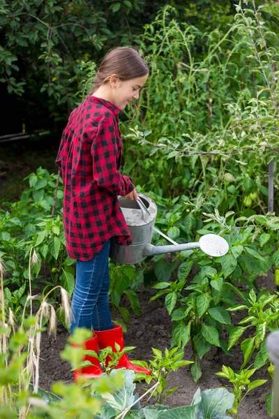 Jardineiro fêmea regar cama de jardim com legumes maduros — Fotografia de Stock