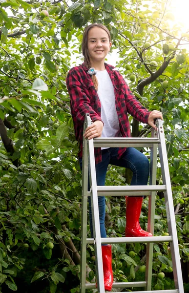 Smiling teenage girl climbing up stepladder at backyard garden — Stock Photo, Image