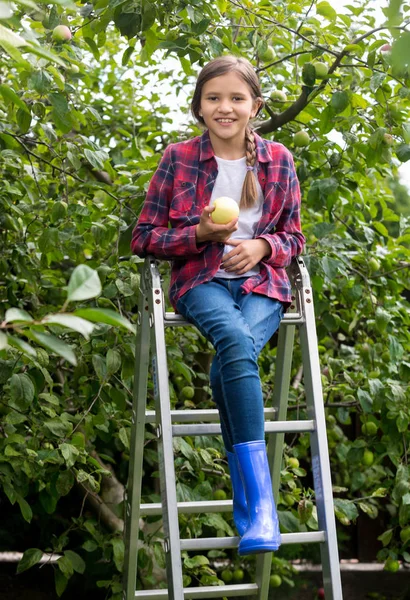 Happy smiling girl picking ripe apples at garden at bright sunny — Stock Photo, Image
