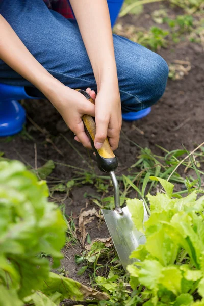 Image rapprochée d'une jeune femme creusant de la terre avec une truelle au jardin — Photo