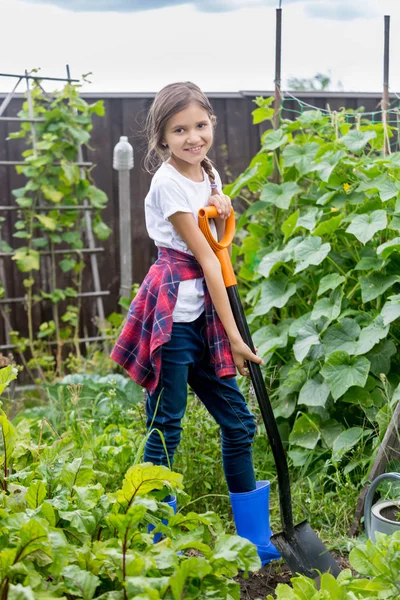 Cantik tersenyum gadis remaja berpose di taman halaman belakang dengan sh — Stok Foto