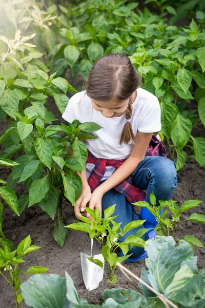 Young girl digging earthing soil at vegetable garden bed — Stock Photo, Image