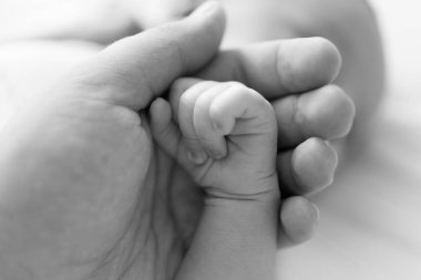 Yeni doğan bebeğin elini tutarak baba siyah beyaz portre çekim